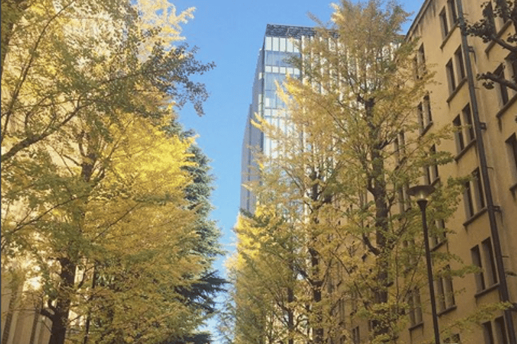 waseda uni