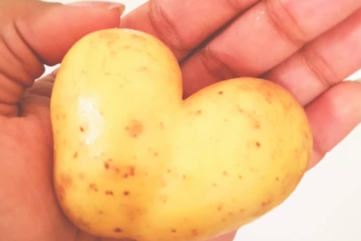 potato
