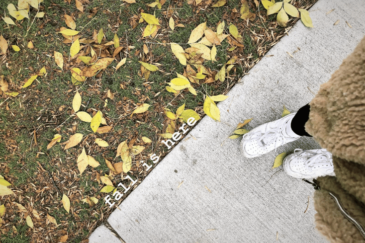 fall