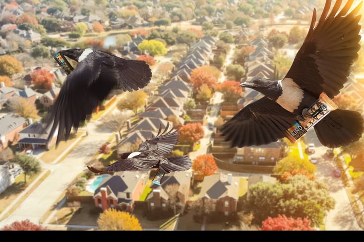 KIND Bird v2 %281%29