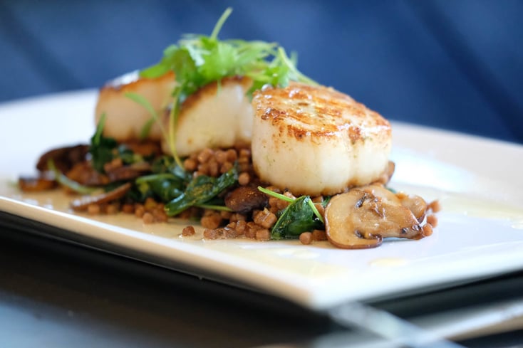 Pan Seared Scallops