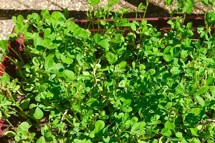 Image from iOS %281%29
