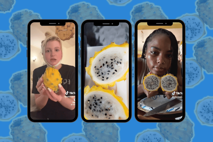 yellowdragonfruit