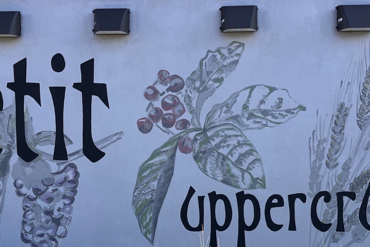 mural horizontal pic