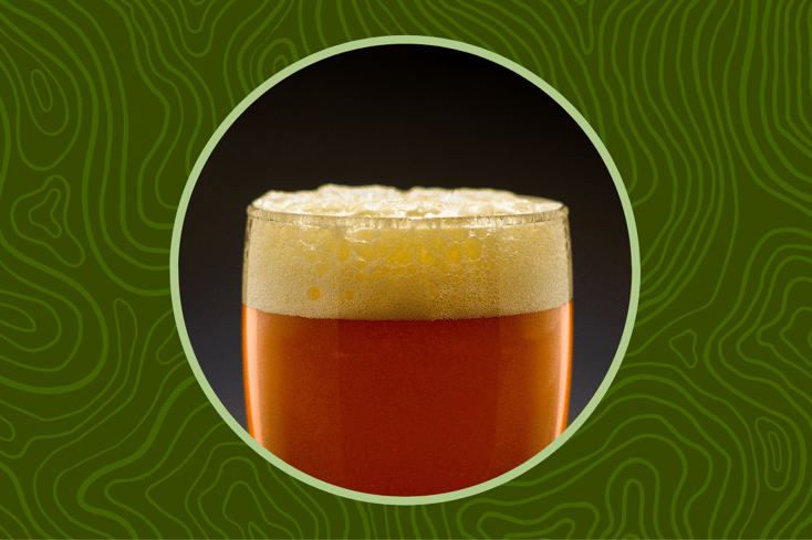 Elon Beer