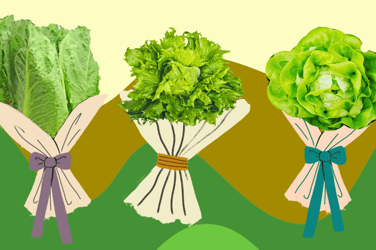 lettucebouquets