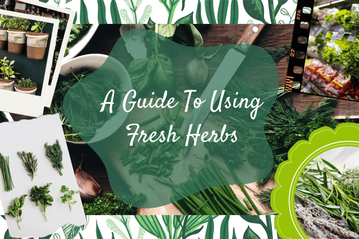 guide to herbs