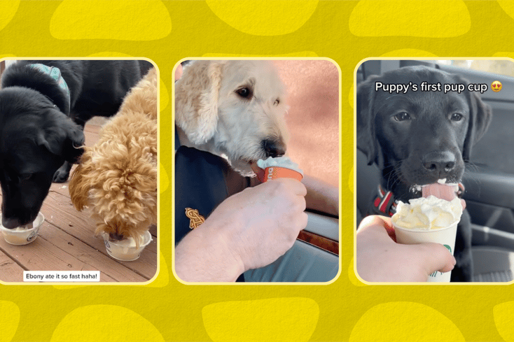 fast food items for dogs