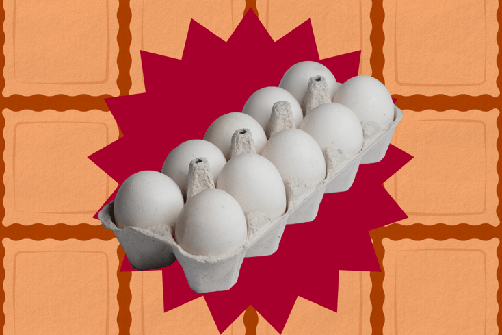 eggs