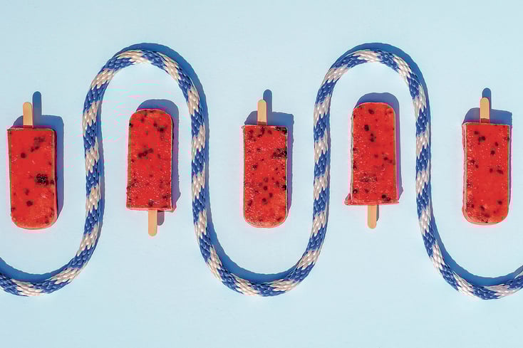 FlavorsFarm PALETAS