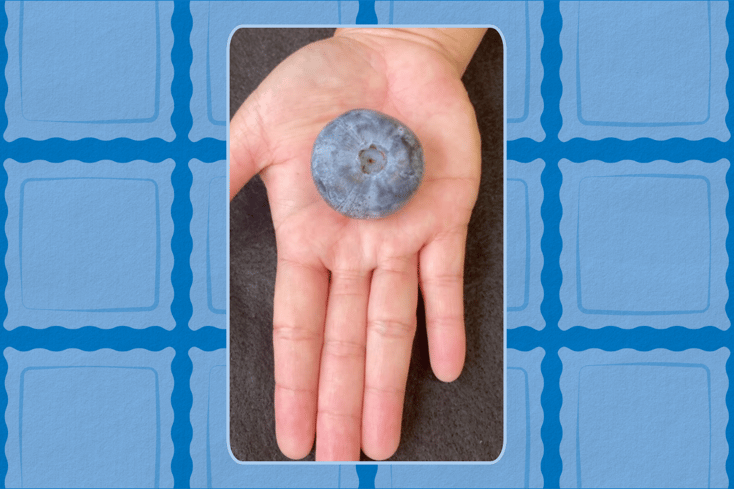 heaviest blueberry copy