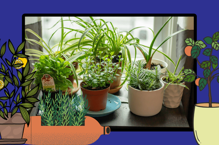 growindoorgarden