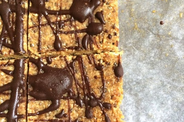 Raw Pecan Coconut Bars