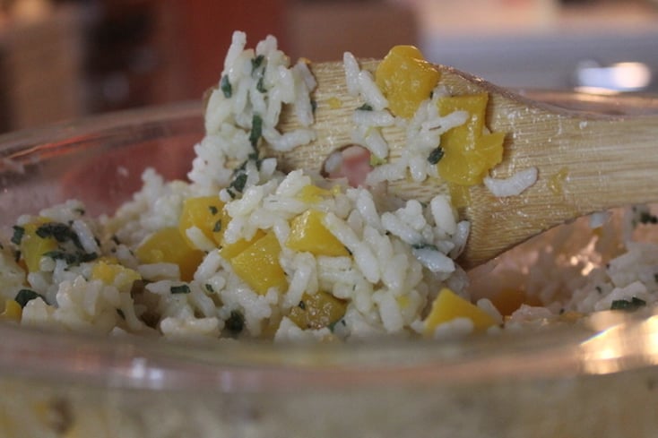 Fancy Microwave Butternut Squash Risotto