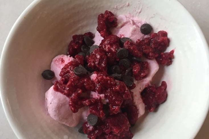 Raspberry Frozen Greek Yogurt