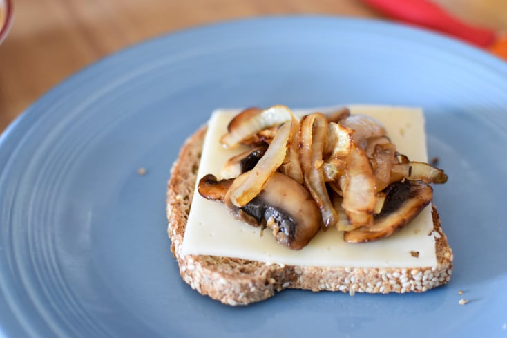 Caramelized Onion and Mushroom Melt