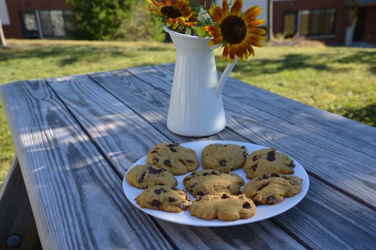 Pumpkin Chocolate Chip Cookies