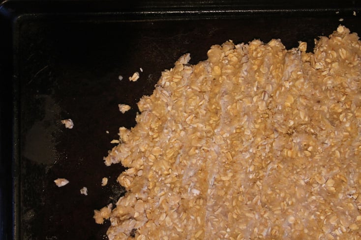 Oat Cookie
