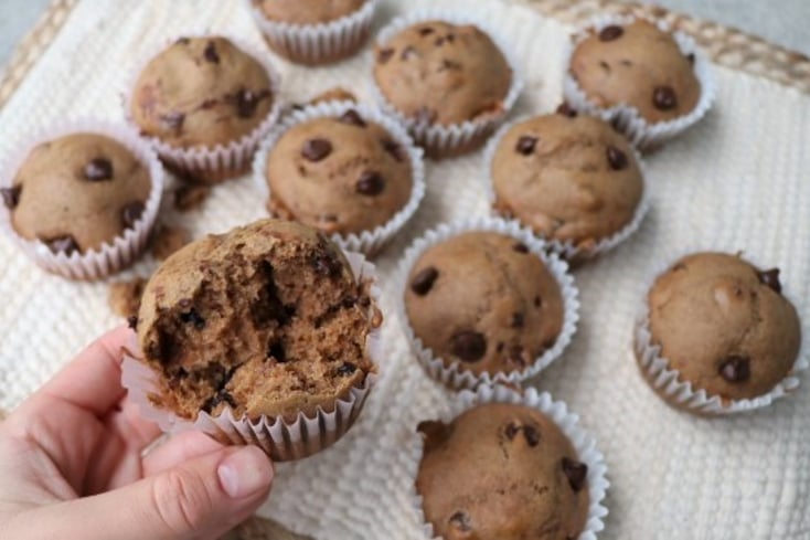 Vegan Chocolate Chip Muffins
