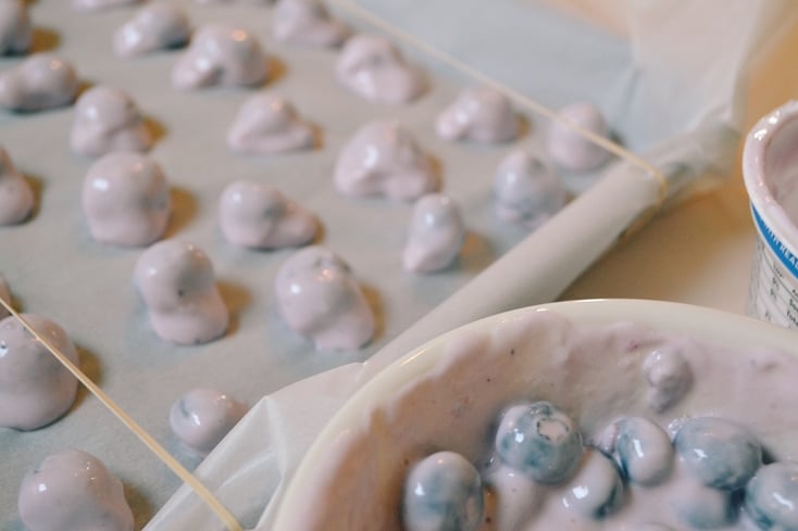 Yogurt Covered Frozen Blueberries