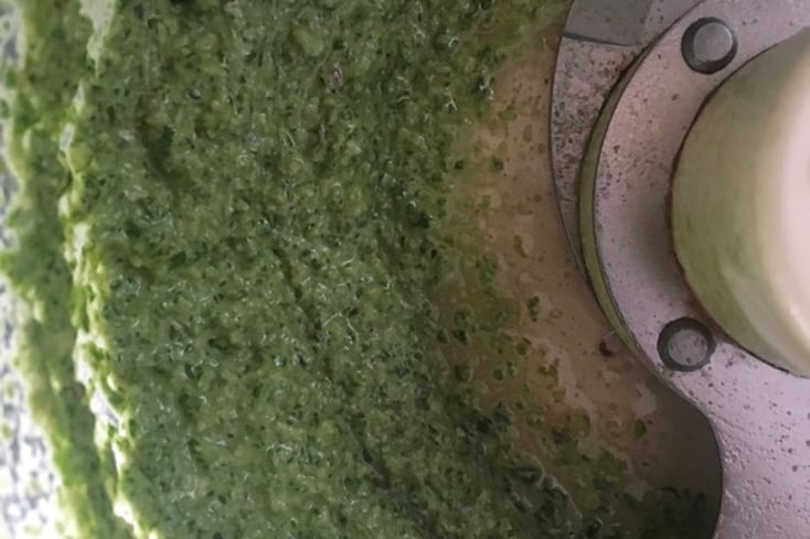 The Beet Green Pesto You Didn't Know You Needed in Your Life 3 Beet Green Pesto