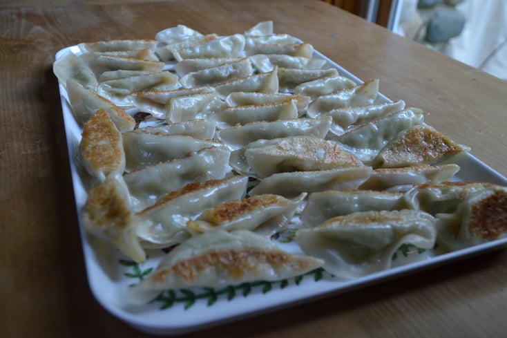 Chicken Potstickers