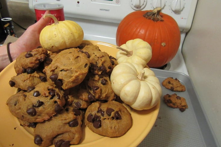 Pumpkin Chocolate Chip Cookies