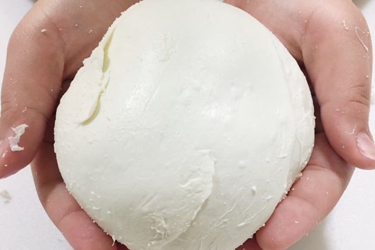 Easy Homemade Mozzarella Cheese