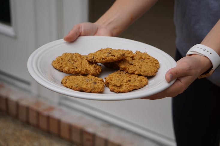 Protein Packed Peanut Butter Oatmeal Chocolate Chip Cookies