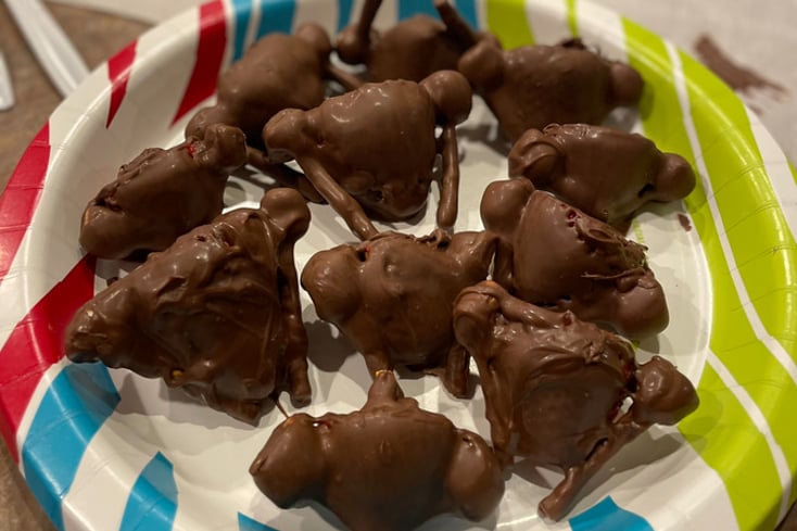 Chocolate Covered Strawberry Turkeys