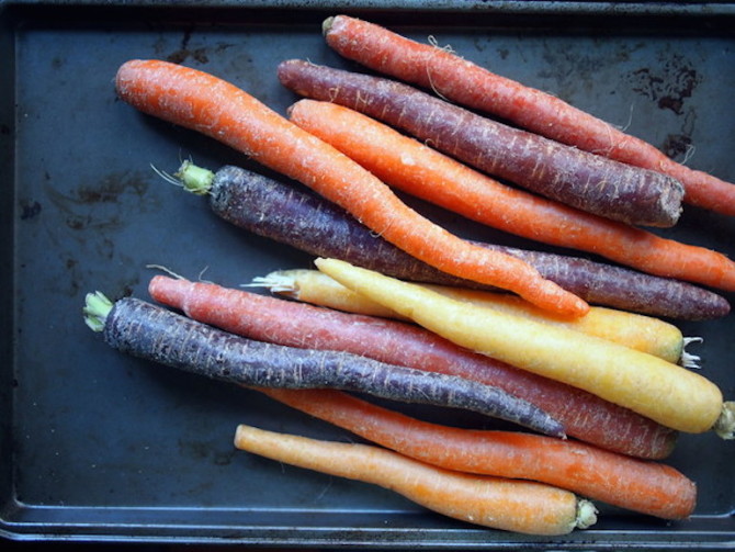 Multicolored large carrots
