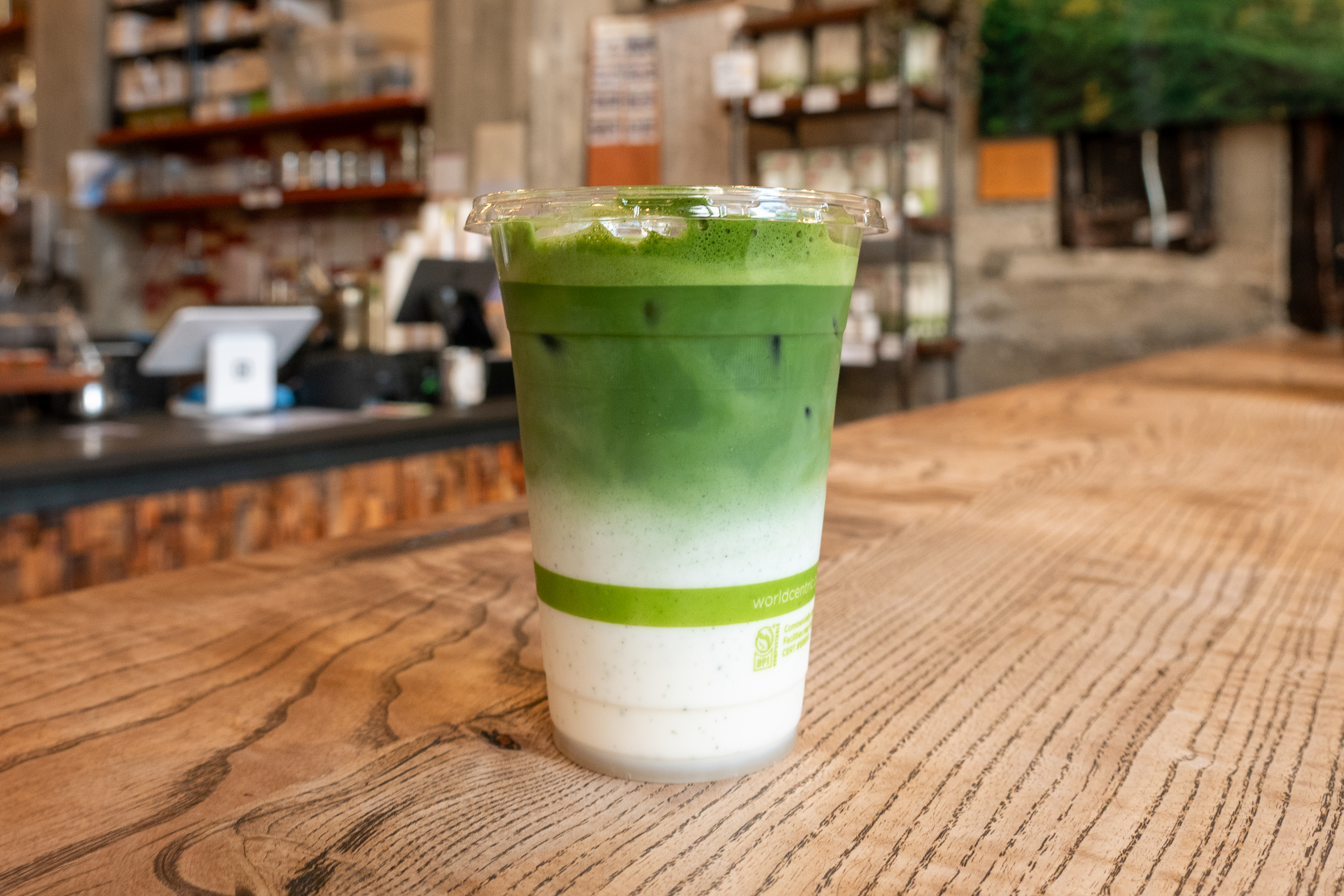 The Most Performative Matcha at Berkeley 7 P1370391