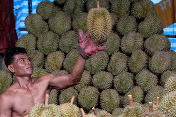 7 Reasons You Should Eat Durian, If You Can Stomach It