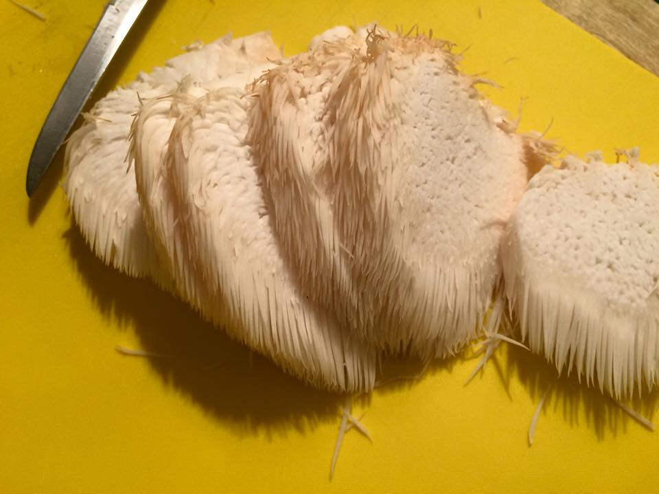 5 Reasons to Try Lions Mane Mushrooms