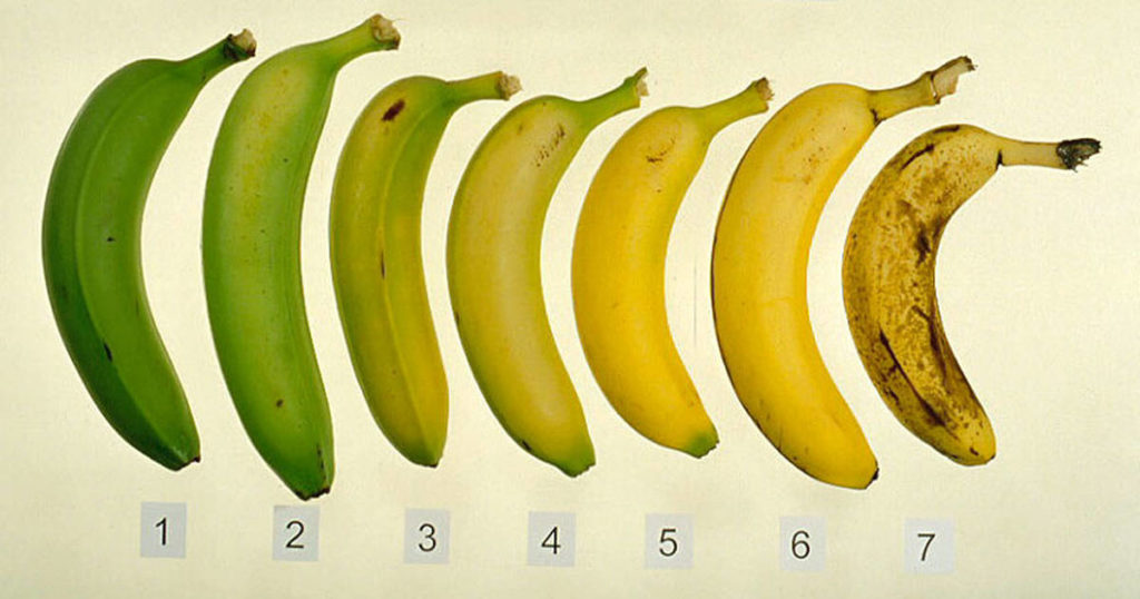 Banana is ripe