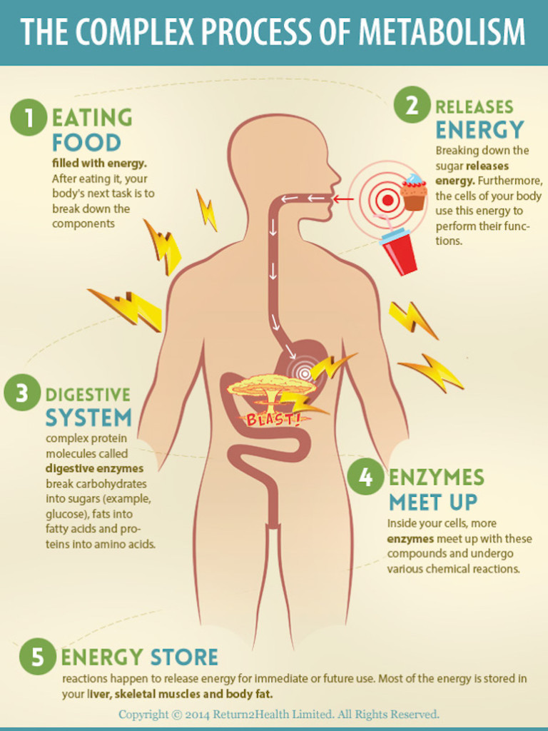 10 Tips Mempercepat Metabolisme Untuk Menurunkan Berat Badan
