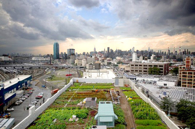 urban farms