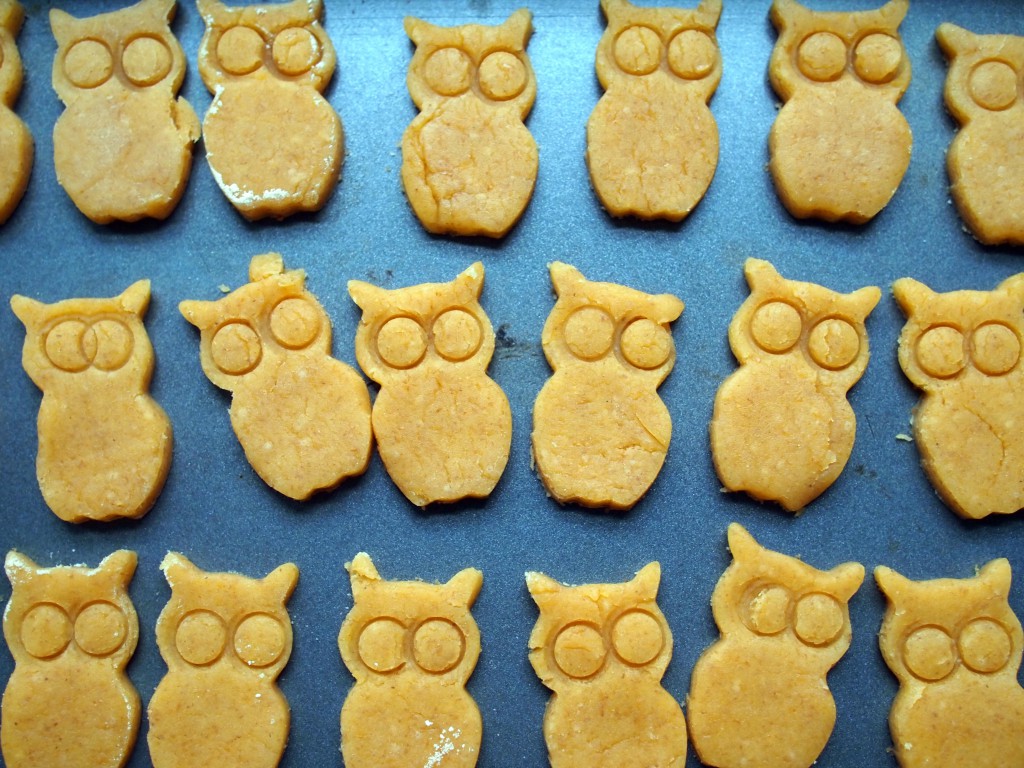 Cheddar Owl Crackers