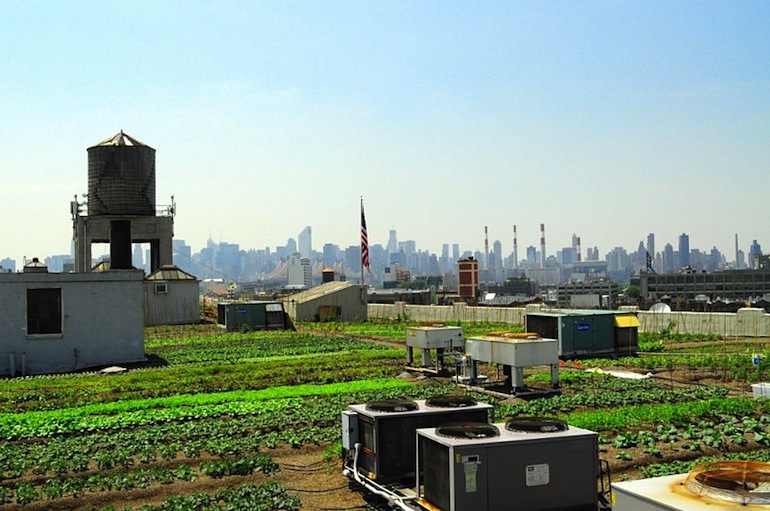 Urban Agriculture Round Up