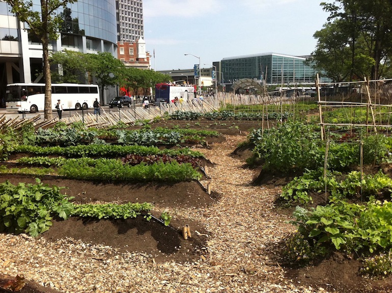 Urban Agriculture Round Up